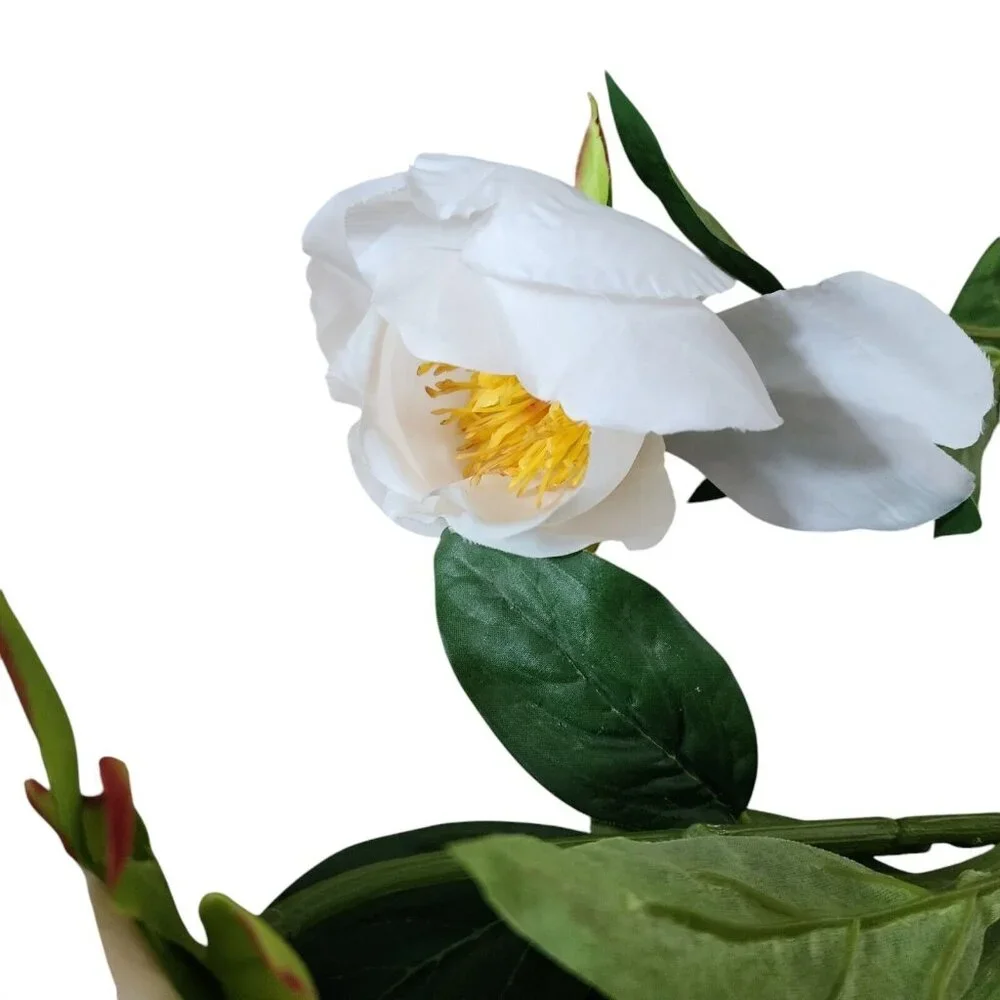 Threshold Set of 4 White Peony Stems 24